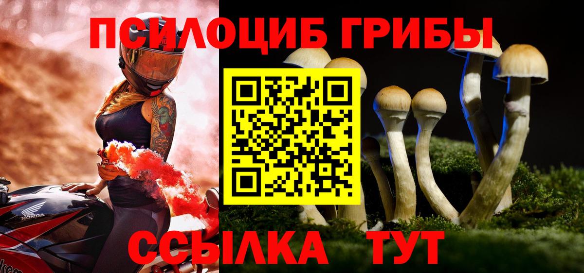 Псилоцибиновые грибы Psilocybe  Вход с VPN  Выборг  цена   Псилоцибиновые грибы прущие грибы 